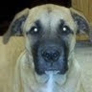 Meet your Posher, Jan